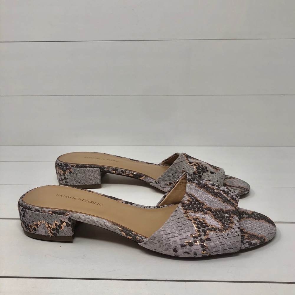 Banana Republic Snake Slides
